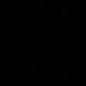 Meet your Posher, Lloyd